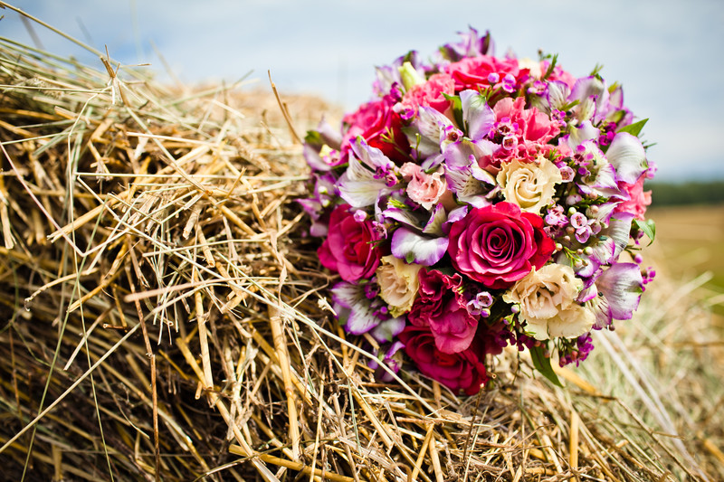 Mon mariage à la ferme